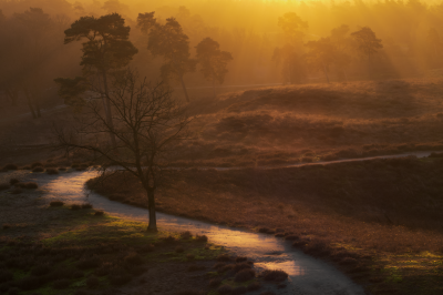 Voorbeeld